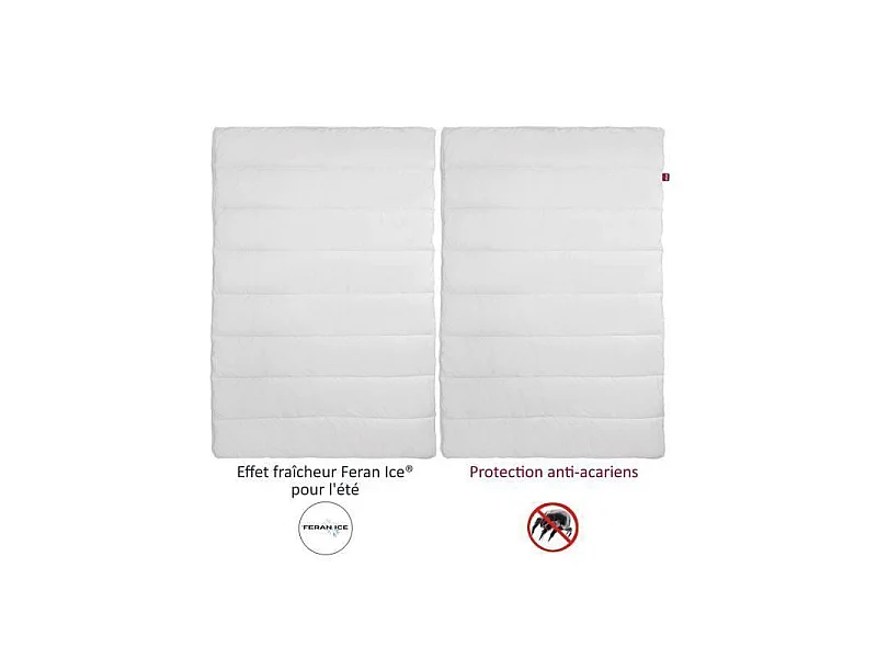 Edredón 4 Estaciones ANTI-ÁCAROS 200x200cm