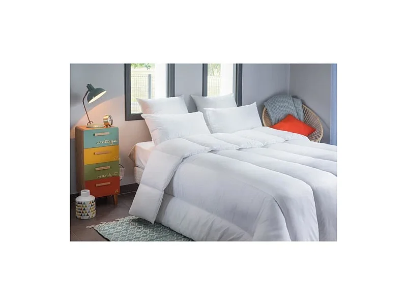 BLANREVE Couette tres chaude Percale - Anti-acariens - 420g/m2 - 220x240cm