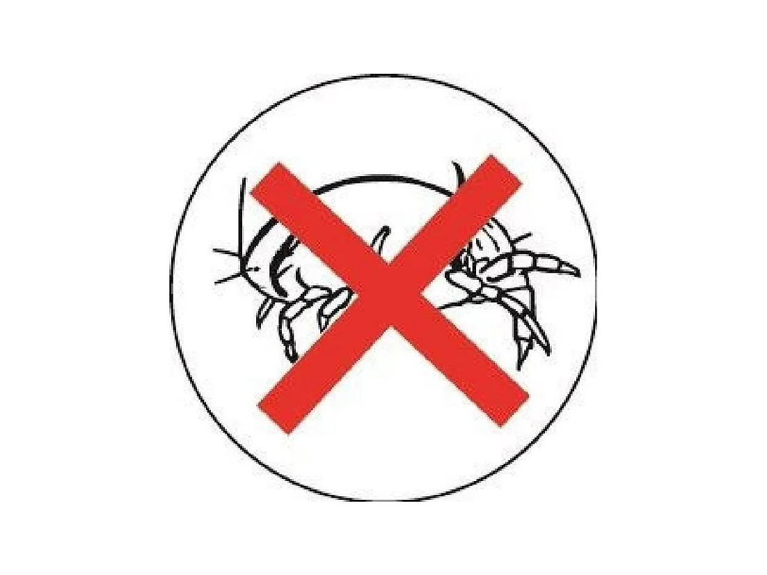 Temperierte Bettdecke 350gr/m² BELLE NUIT 240x260cm - Polyester gegen Milben - Hergestellt in Frankreich