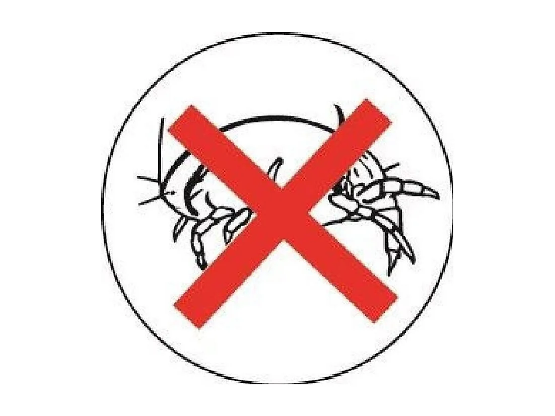 Temperierte Bettdecke 350gr/m² BELLE NUIT 240x260cm - Polyester gegen Milben - Hergestellt in Frankreich