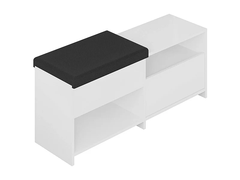 Dnestorovsk schoenenrek, Schoenenkast, Multifunctionele entreekast, Schoenenkast, 120x41 h51 cm, Wit