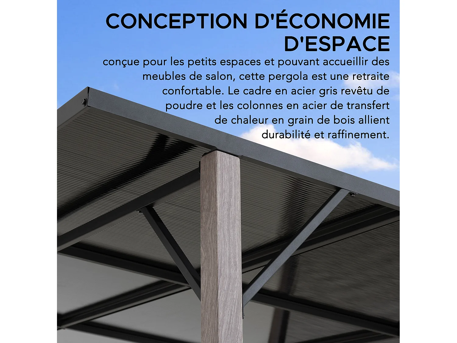 Pergola en métal avec toit en polycarbonate et brise-vue 282cm x 252cm