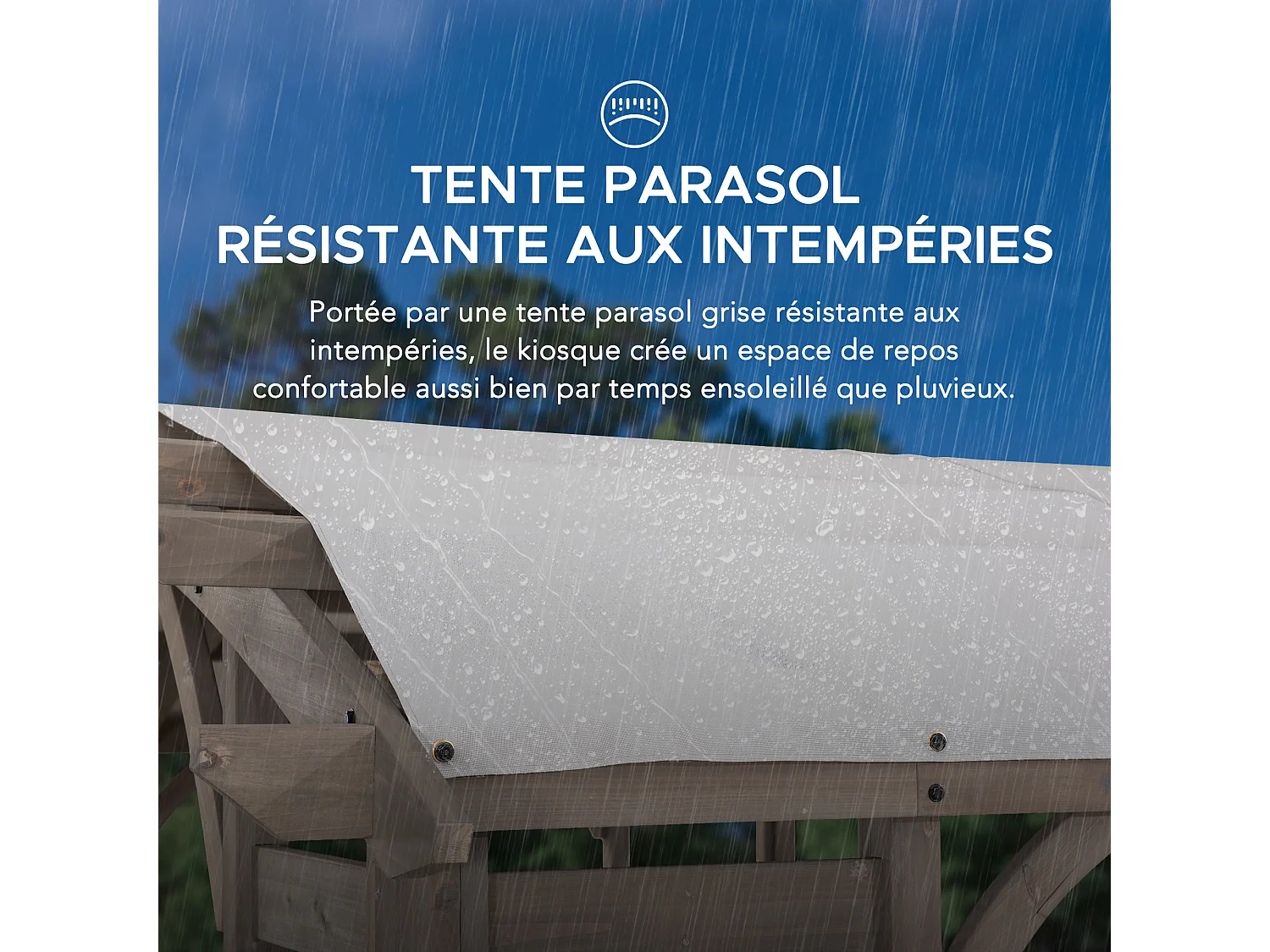 Pergola arquée à cadre en cèdre DAJTI 427 cm x 305 cm