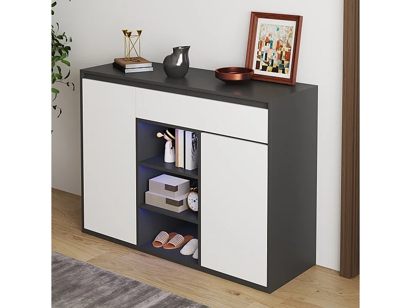 Moderne zwart-witte schoenenkast, 2 deuren en 1 lade, verstelbare plank, voor de entree, capaciteit 12-17 paar schoenen