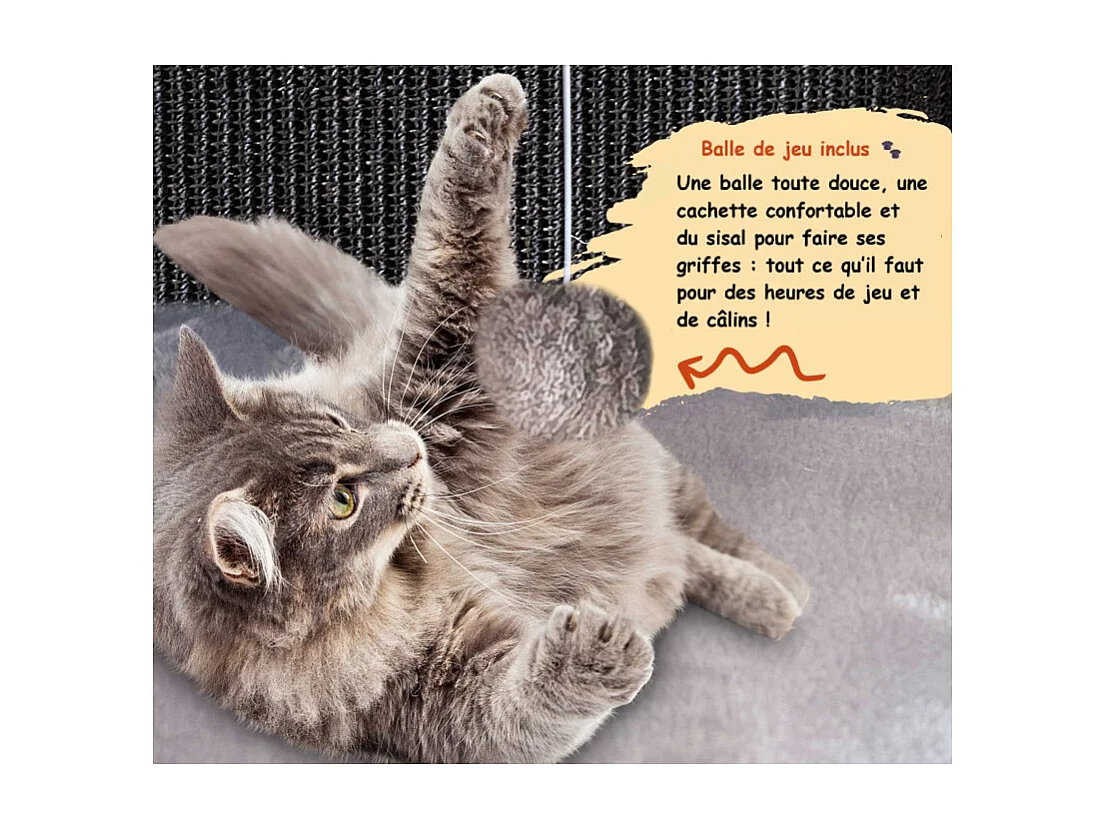 Maison pour chats avec griffoirs en sisal Noir 40x40x27cm