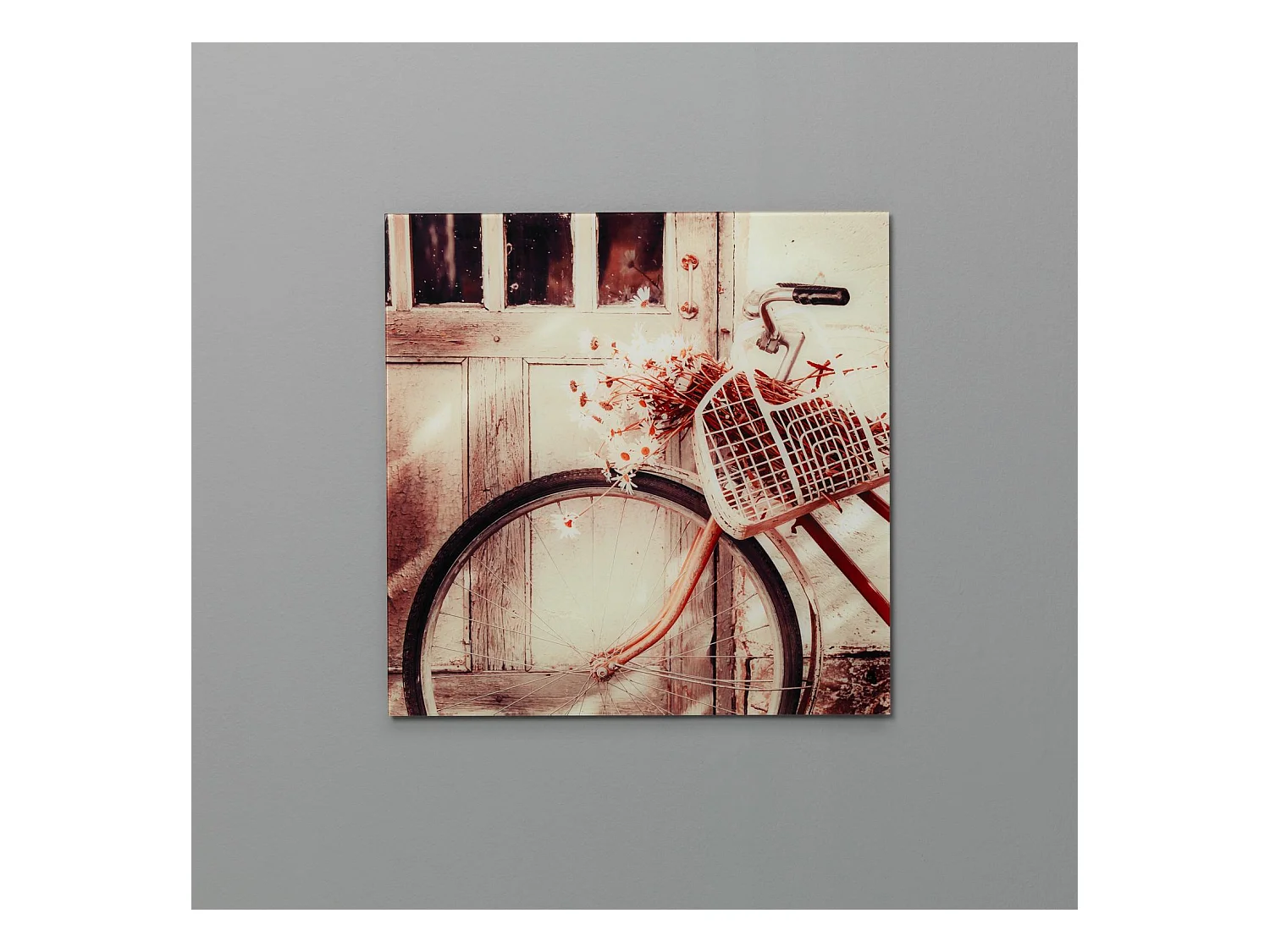 Cycle,  Stampa su vetro   (1cm X 70cm H. 70cm)| Duzzle
