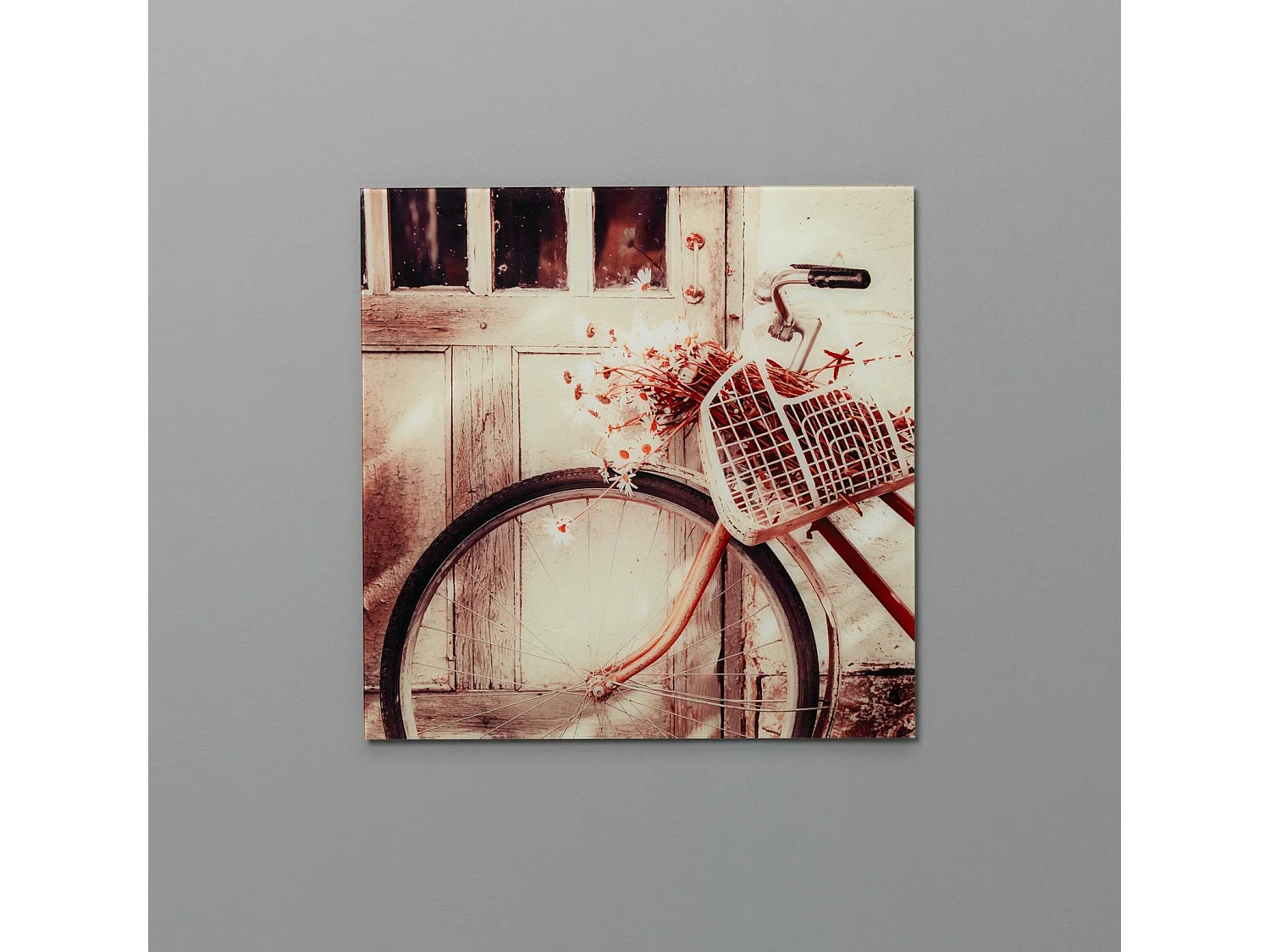 Cycle,  Stampa su vetro   (1cm X 70cm H. 70cm)| Duzzle