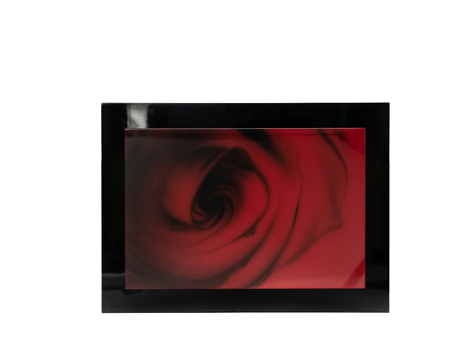 Rose,  Pannello decorativo   (80cm X 110cm H. 4cm)| Duzzle