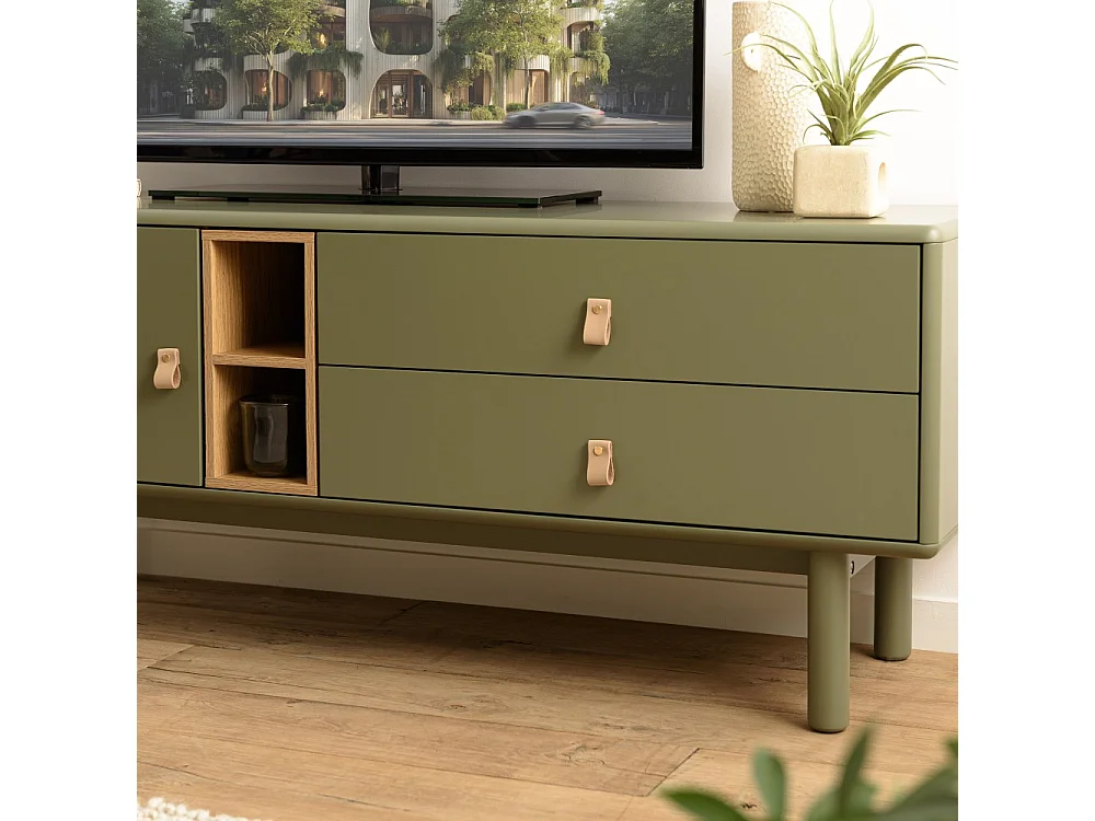 ETHAN - Meuble TV 1 porte, 2 tiroirs et 2 niches en bois vert