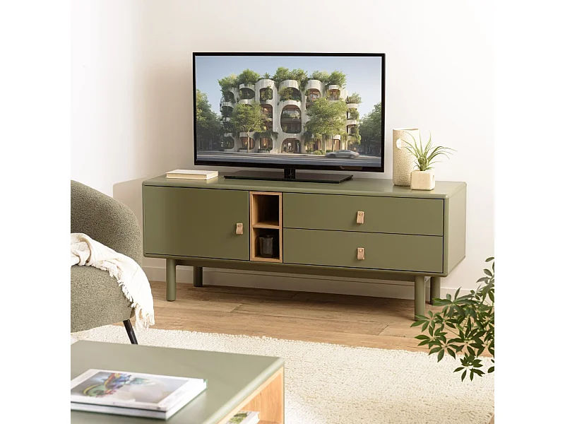 ETHAN - Meuble TV 1 porte, 2 tiroirs et 2 niches en bois vert