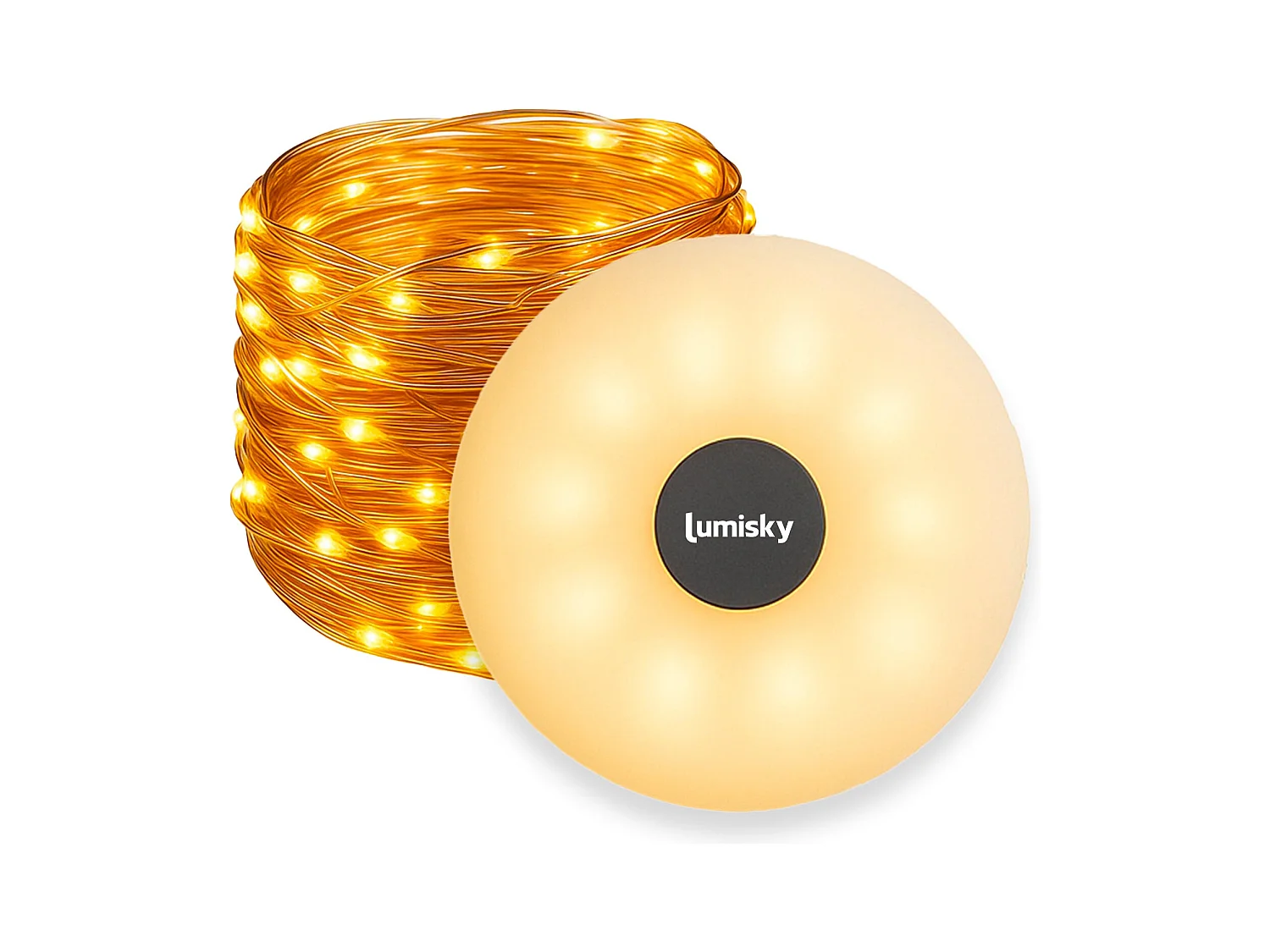 Guirlande lumineuse portable ROLY Blanc Plastique 10 M