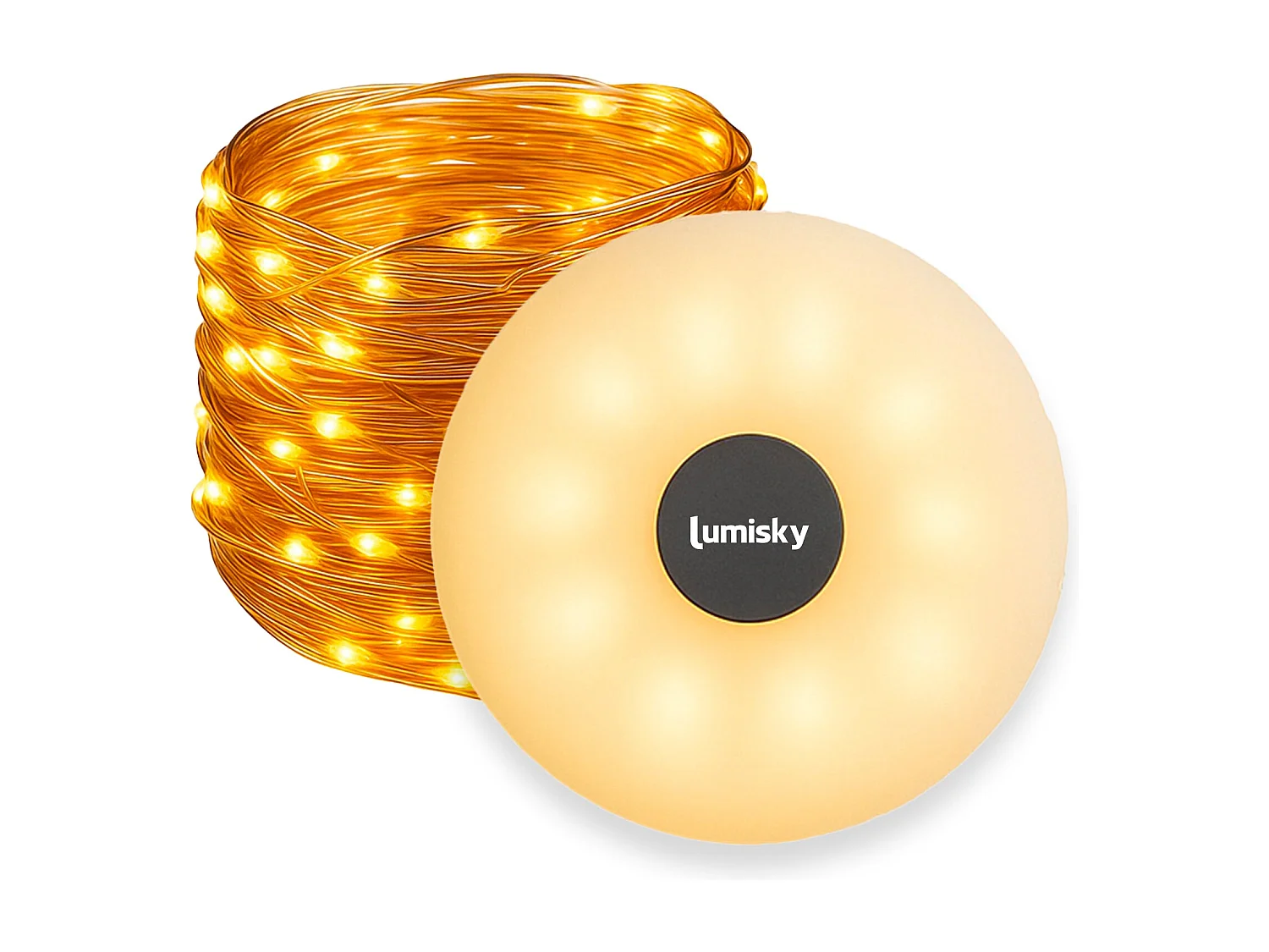 Guirlande lumineuse portable ROLY Blanc Plastique 10 M