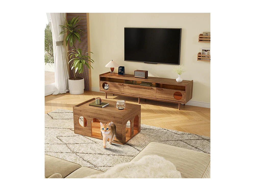 Meuble TV éclairage LED espace repos chat portes verre acier 1 tiroir noyer