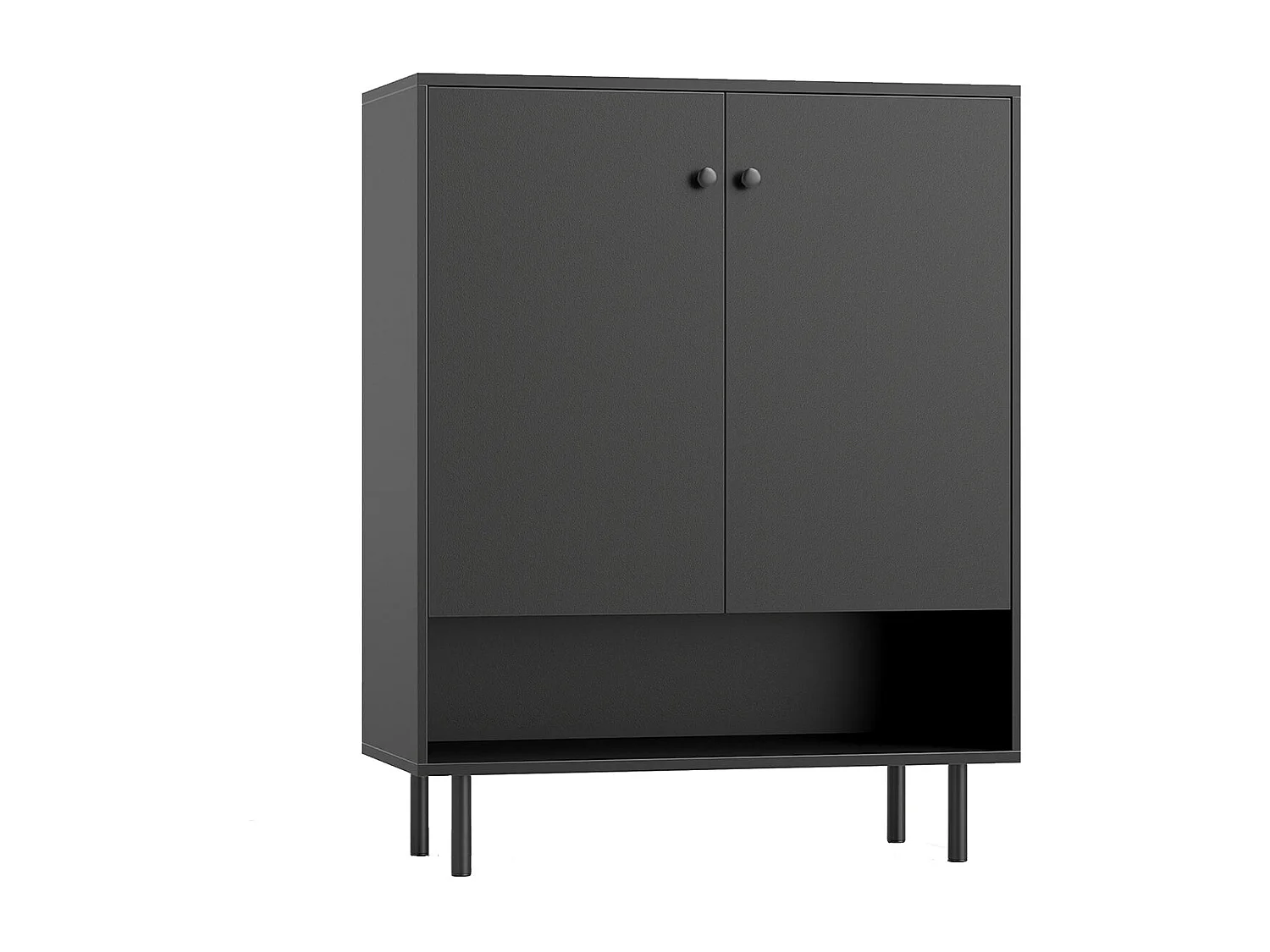 Dressoir met 2 deuren en verstelbare plank - Zwart 75 x 35 x 95 cm