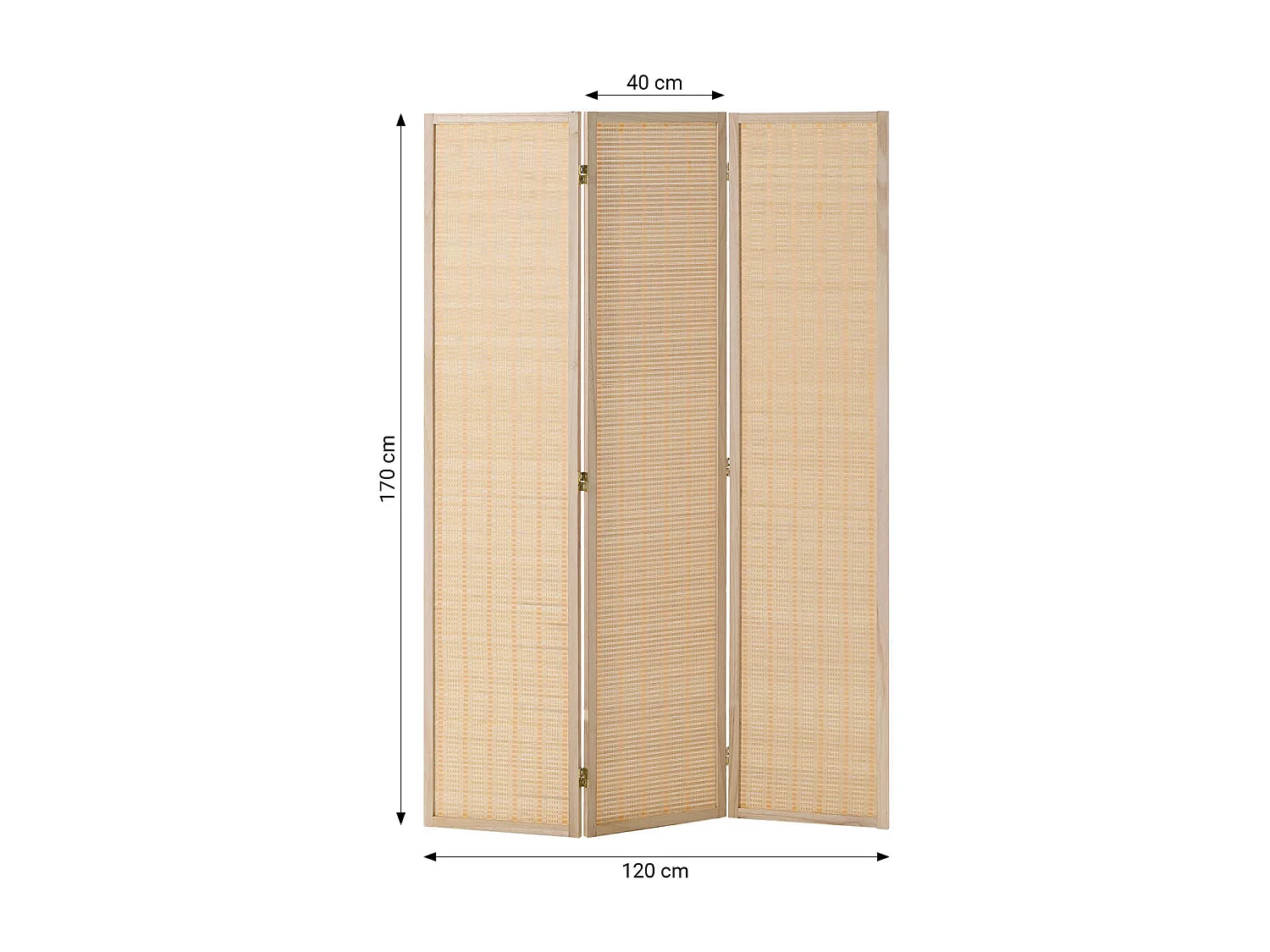 Paravent 120x170x2 cm Bois Naturel