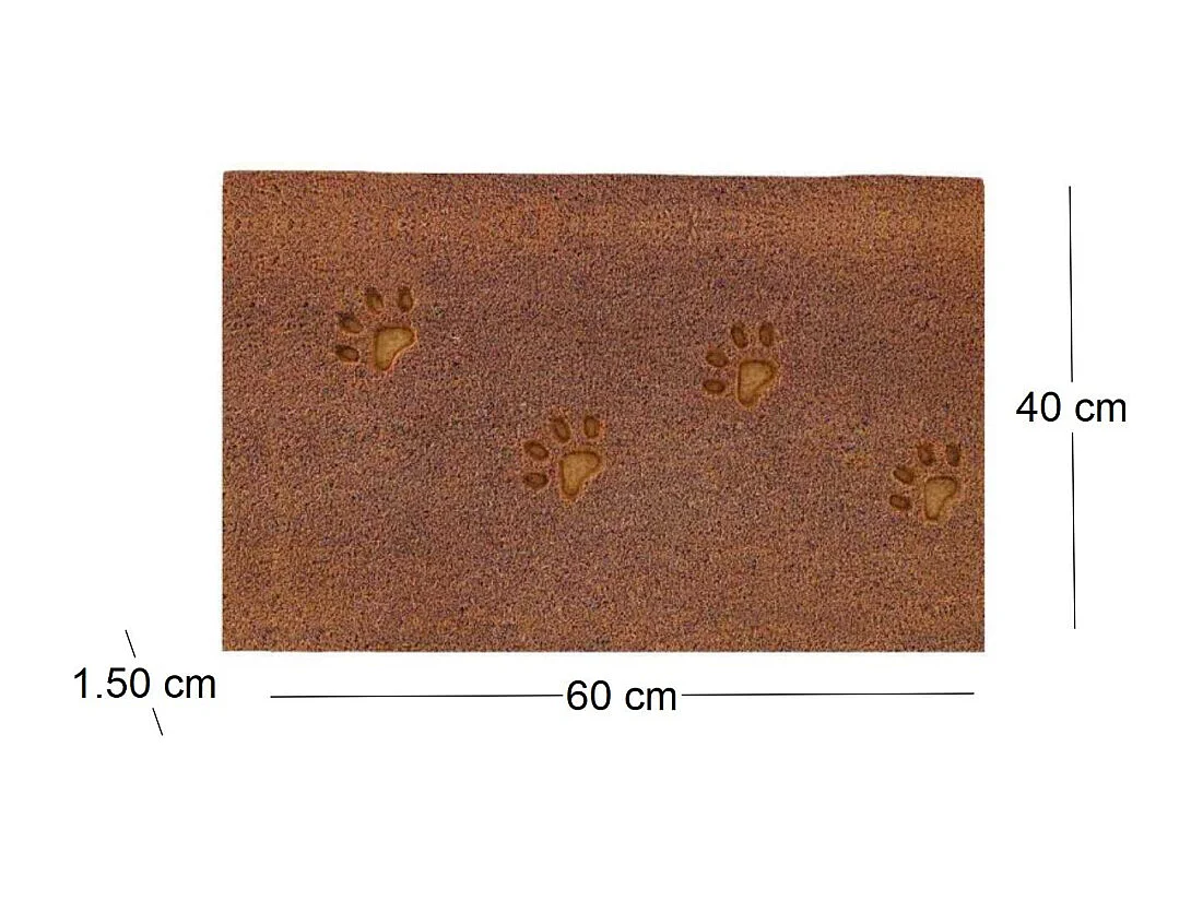 Paillasson en fibres de coco 60 x 40 cm Paw (Lot de 2)