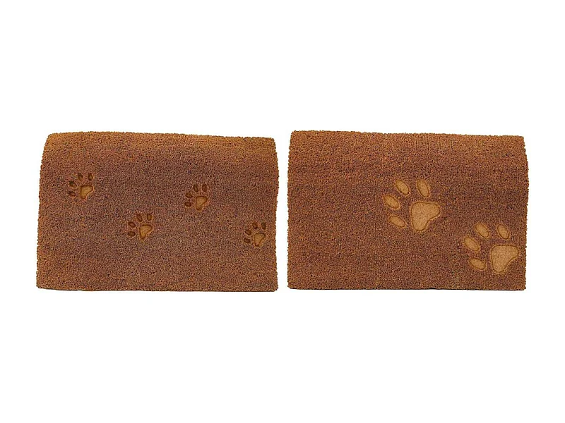 Paillasson en fibres de coco 60 x 40 cm Paw (Lot de 2)