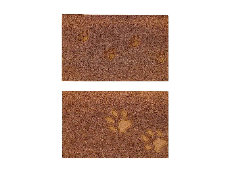 Paillasson en fibres de coco 60 x 40 cm Paw (Lot de 2)