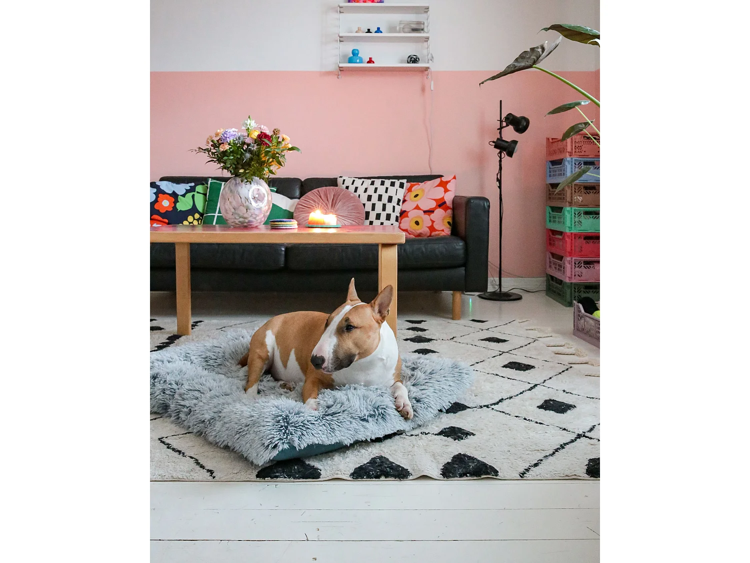 Tapis en coton blanc et noir 160 x 230 cm KHEMISSET
