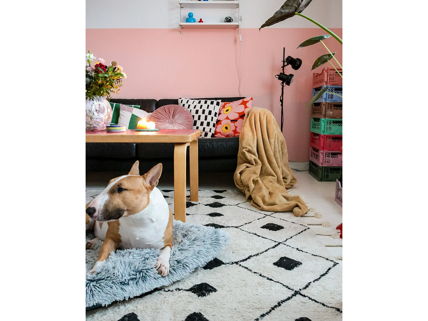 Tapis en coton blanc et noir 140 x 200 cm KHEMISSET