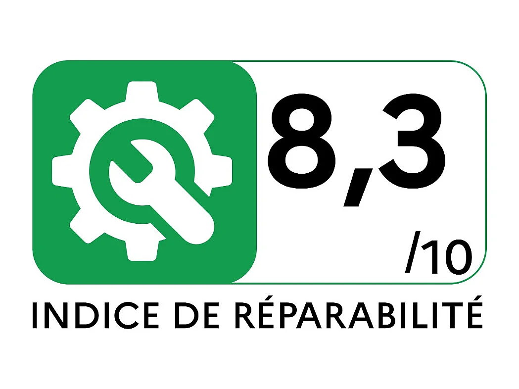 E.ziclean Aspirateur balai 2en1 rechargeable 37v - FR15ANIMAL