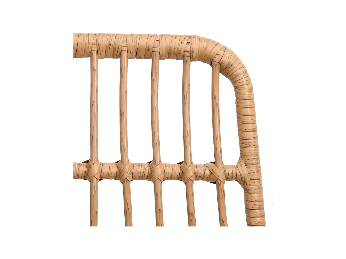 Eden Prairie  7-delige Tuinset poly rattan