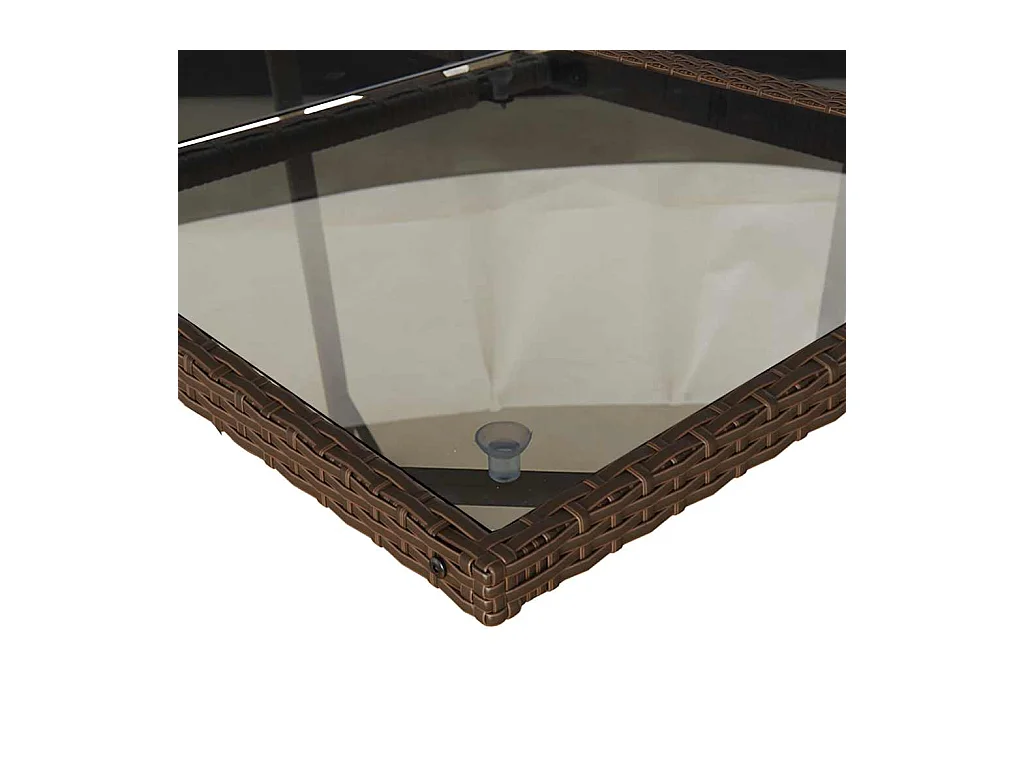 Laura Lucía  Set comedor de jardín 11 pzas y cojines ratán sintético marrón