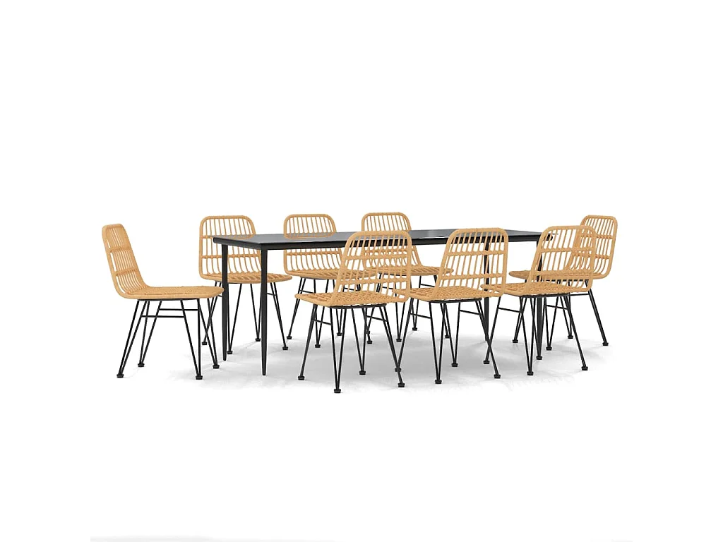 Eden Prairie  9-delige Tuinset poly rattan