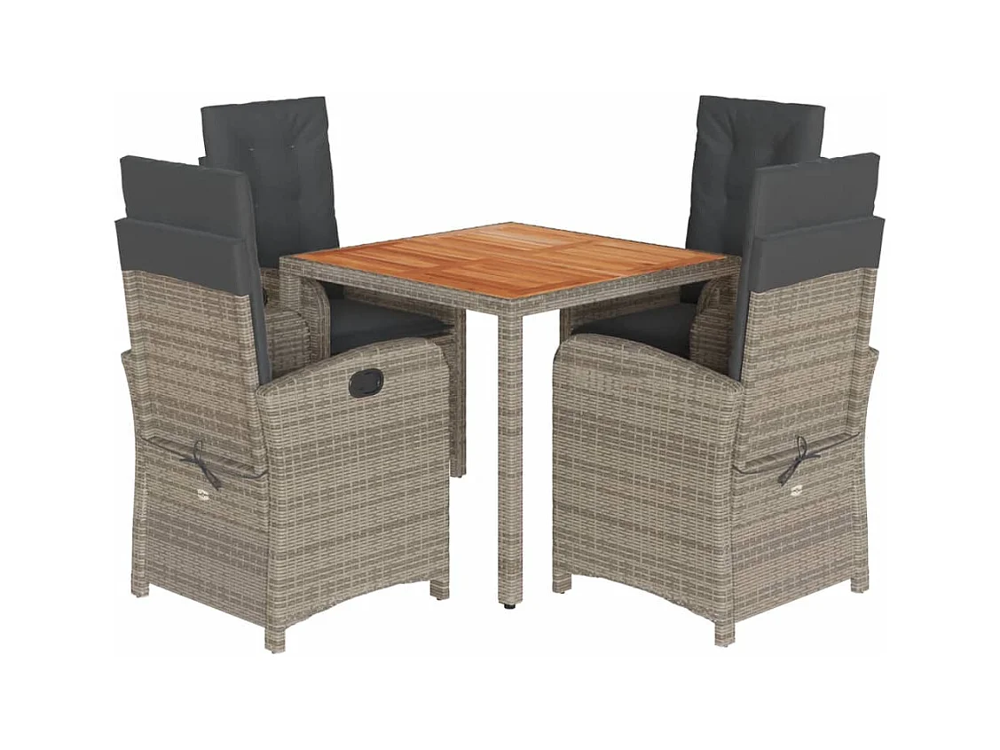 Adrien-Paul  Ensemble à manger de jardin 5 pcs coussins gris résine tressée