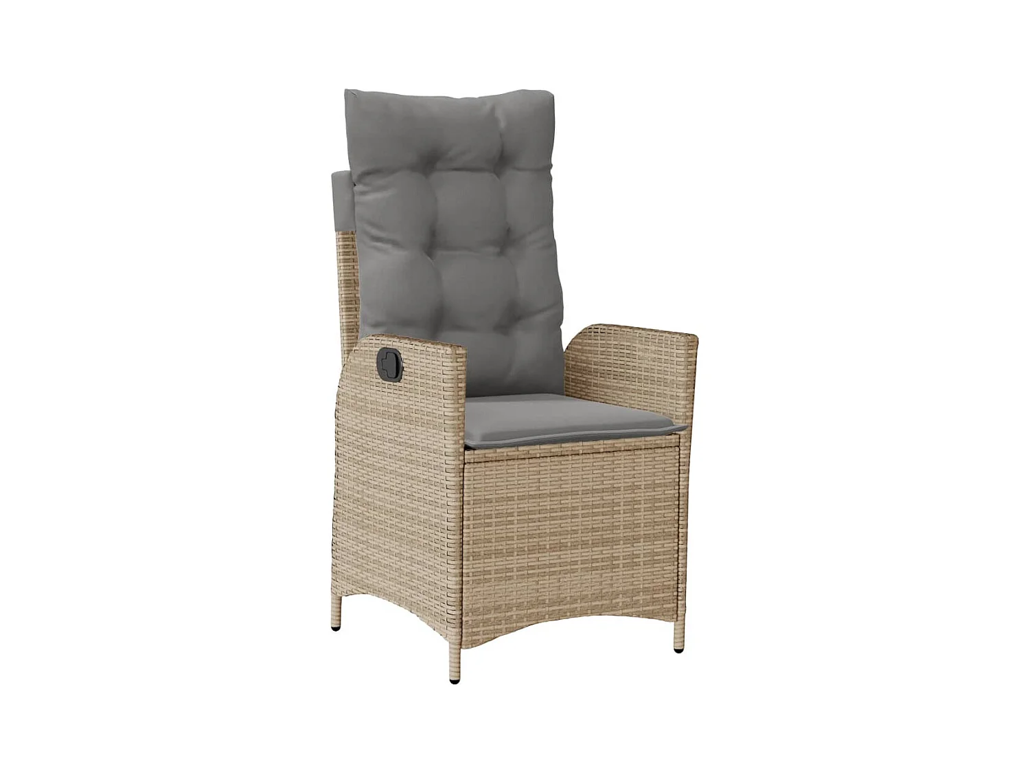 Arde  5-delige Tuinset met kussens poly rattan beige