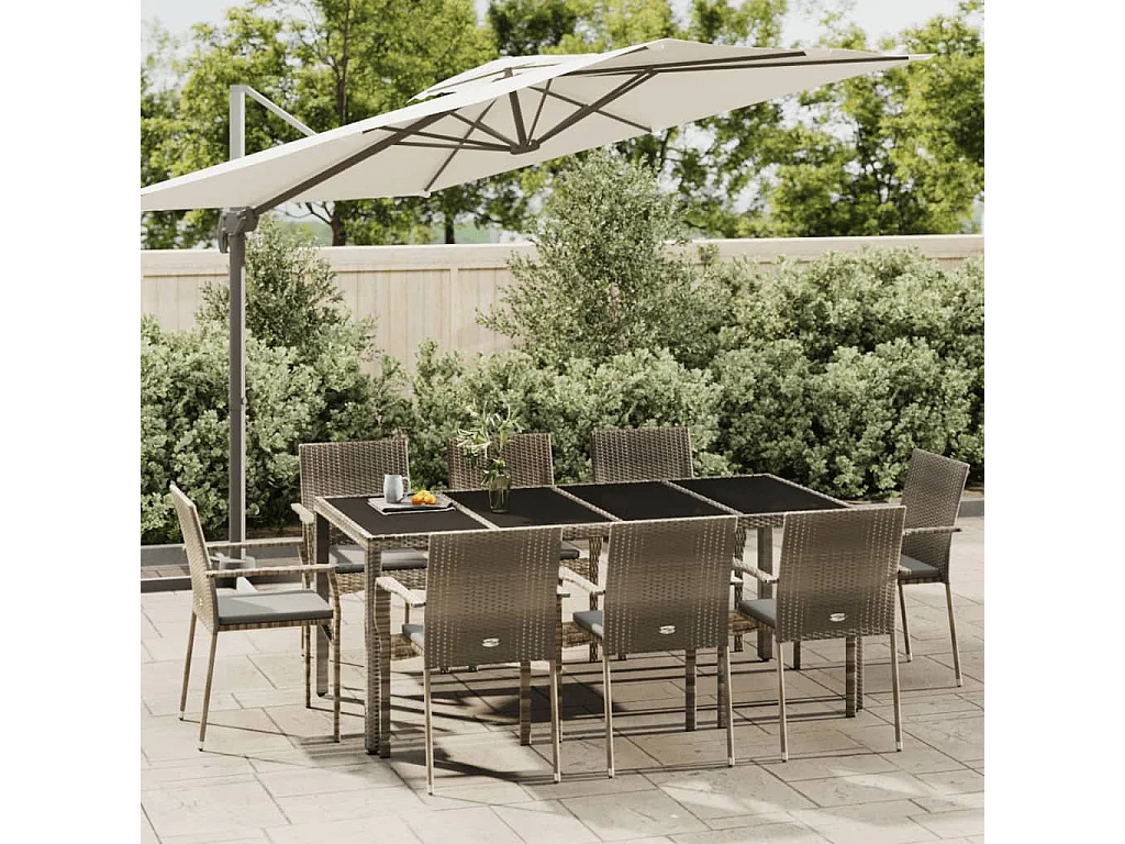 Daniela Patricia  9-delige Tuinset met kussens poly rattan grijs