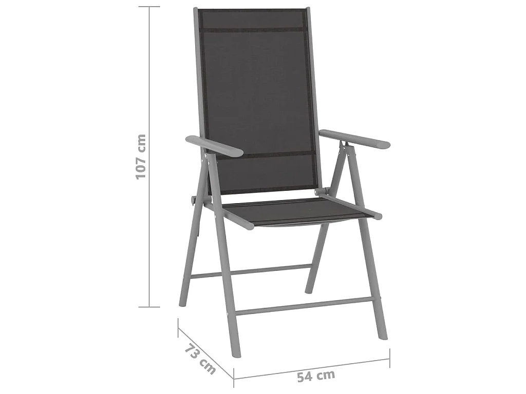 Claire-Jacqueline  Juego de comedor de jardín 10 piezas negro y plateado