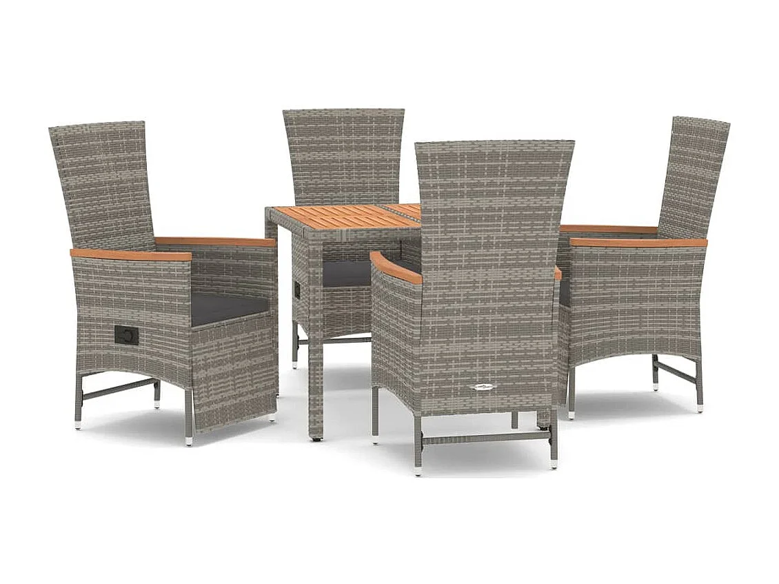 Brunnir  Ensemble à manger de jardin 5 pcs coussins gris résine tressée