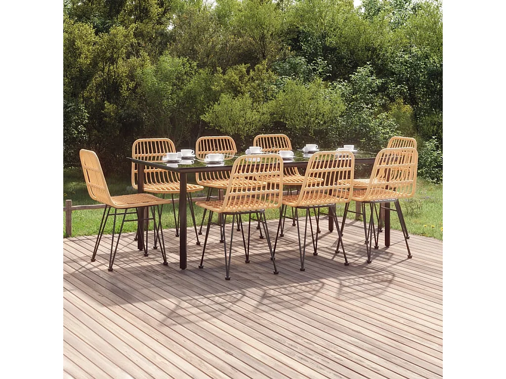 Ballyhaise  9-delige Tuinset poly rattan