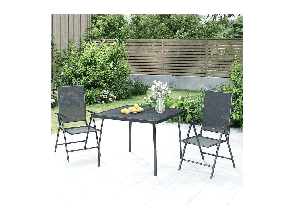 Terina  Ensemble à manger de jardin 3 pcs anthracite acier