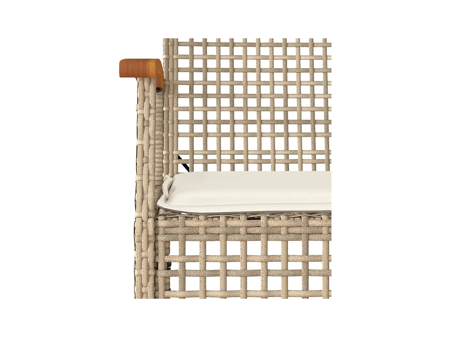 Nunspeet  9-delige Tuinset met kussens poly rattan beige