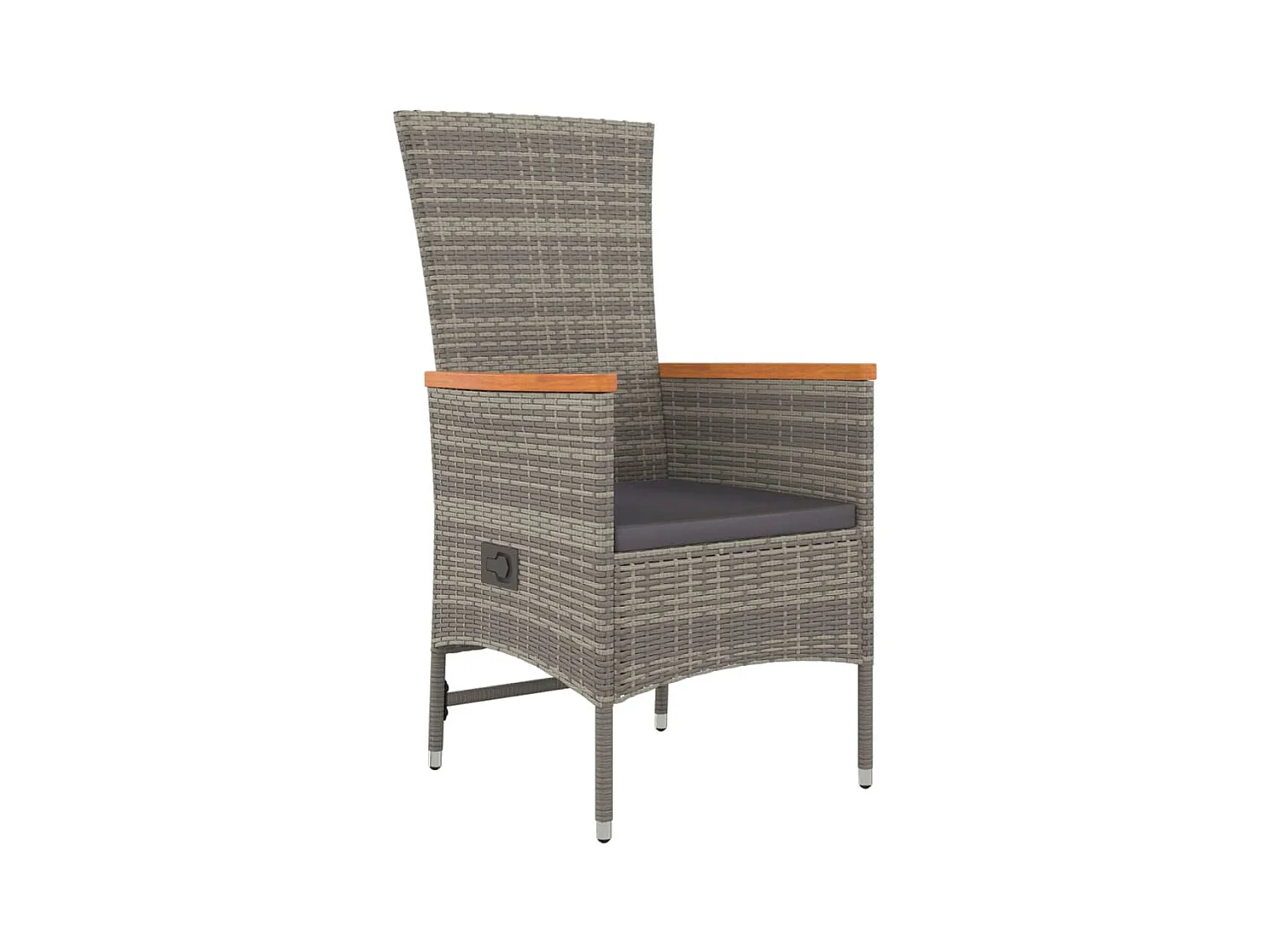 Brunnir  Ensemble à manger de jardin 3 pcs coussins gris résine tressée