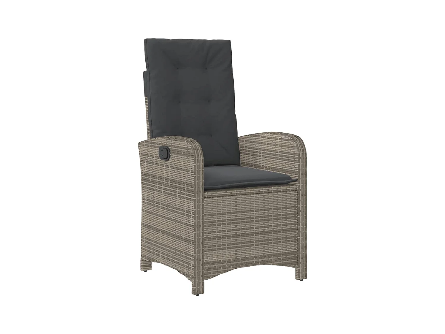 Adrien-Paul  Set comedor jardín 9 pzas y cojines ratán sintético gris