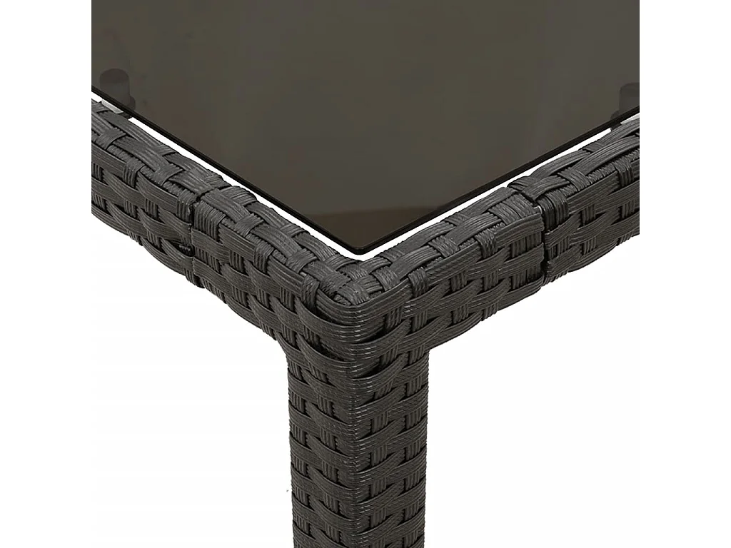 Prolenta Premium -  3-delige Tuinset met kussens poly rattan zwart