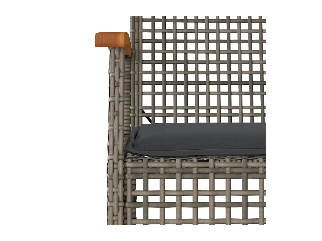 Meryem  Ensemble à manger de jardin 3 pcs coussins gris résine tressée