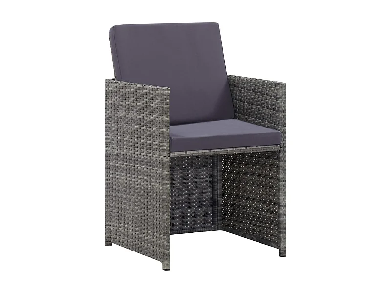 Claire-Étienne  13-delige Tuinset poly rattan en acaciahout antraciet