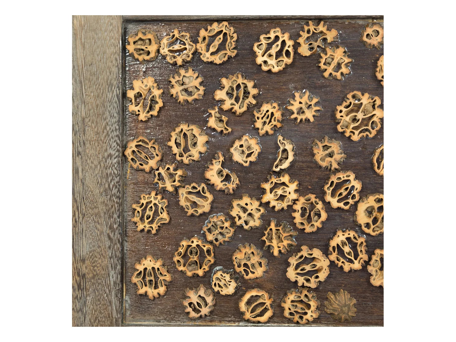 Paravent 170x160x2 cm Marron