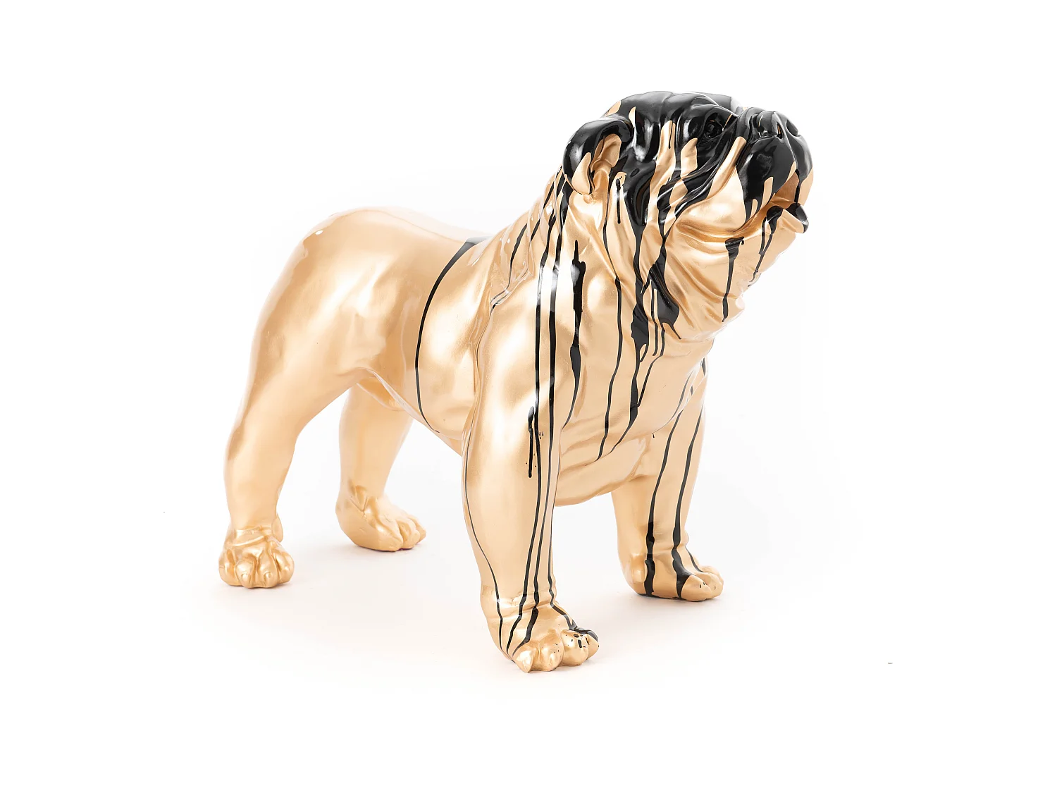 Bulldog Doré Trash - Amadeus