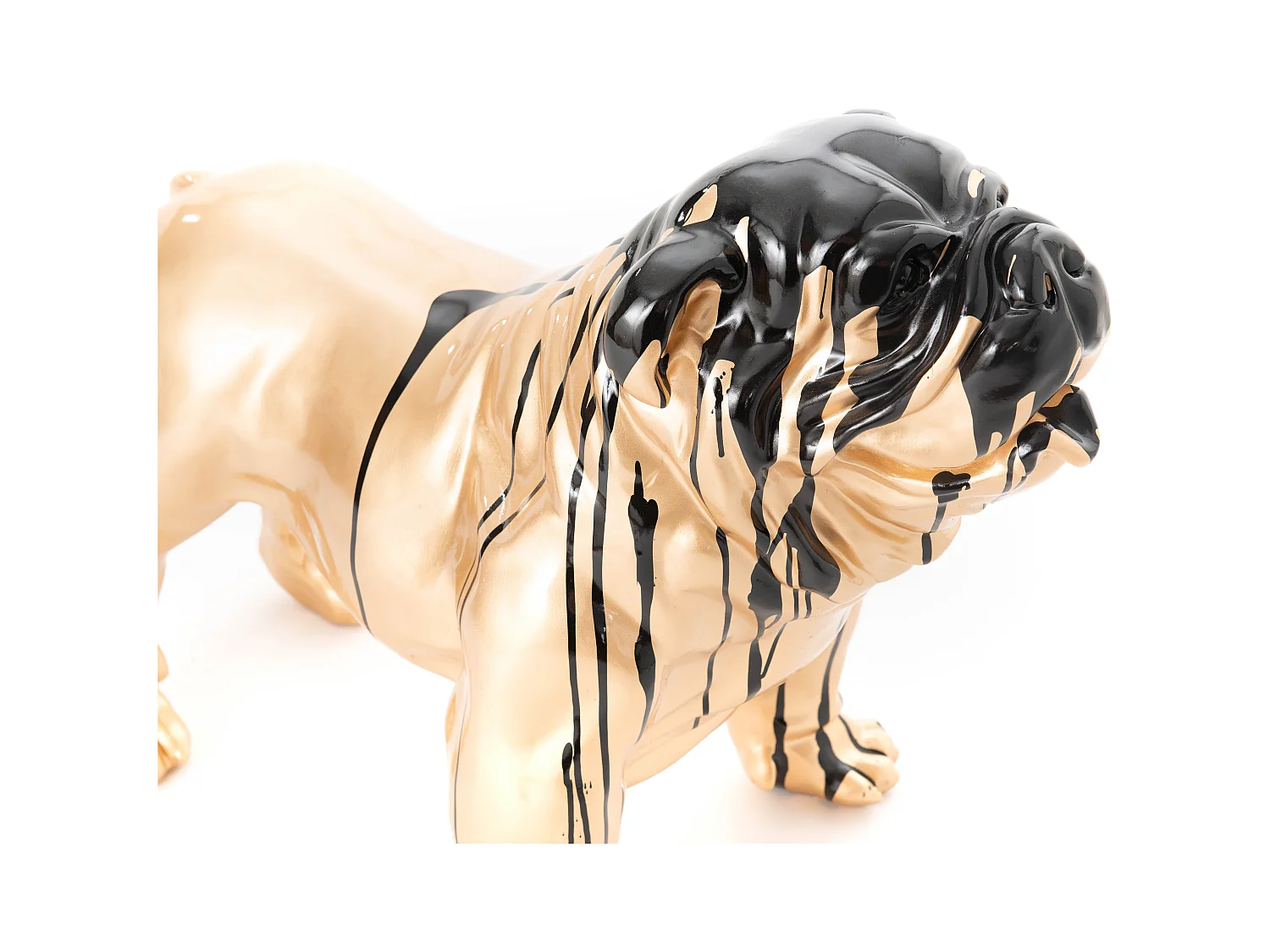 Bulldog Doré Trash - Amadeus