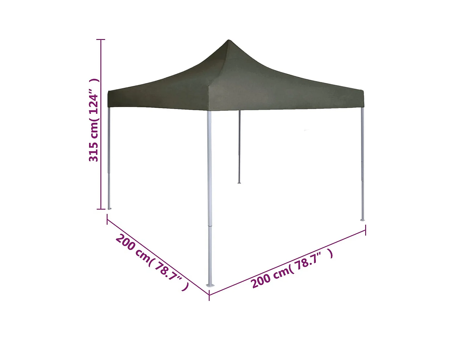 Professionele opvouwbare ontvangsttent 2x2 m Antraciet staal