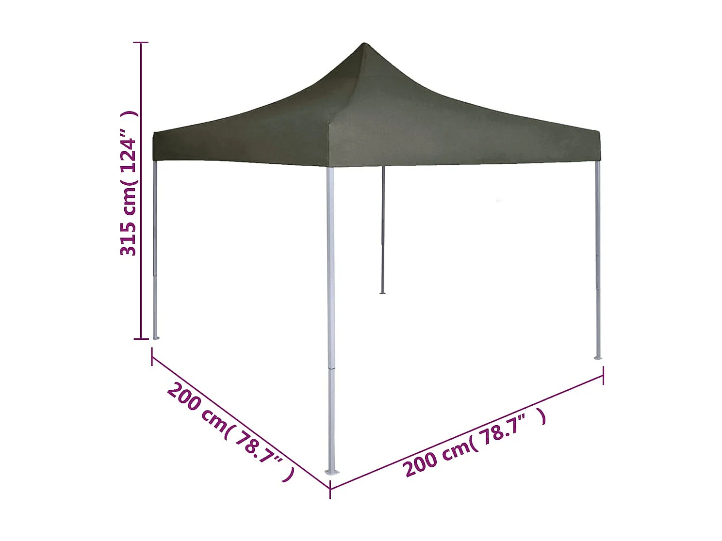 Tenda pieghevole professionale per ricevimenti 2x2 m Acciaio antracite