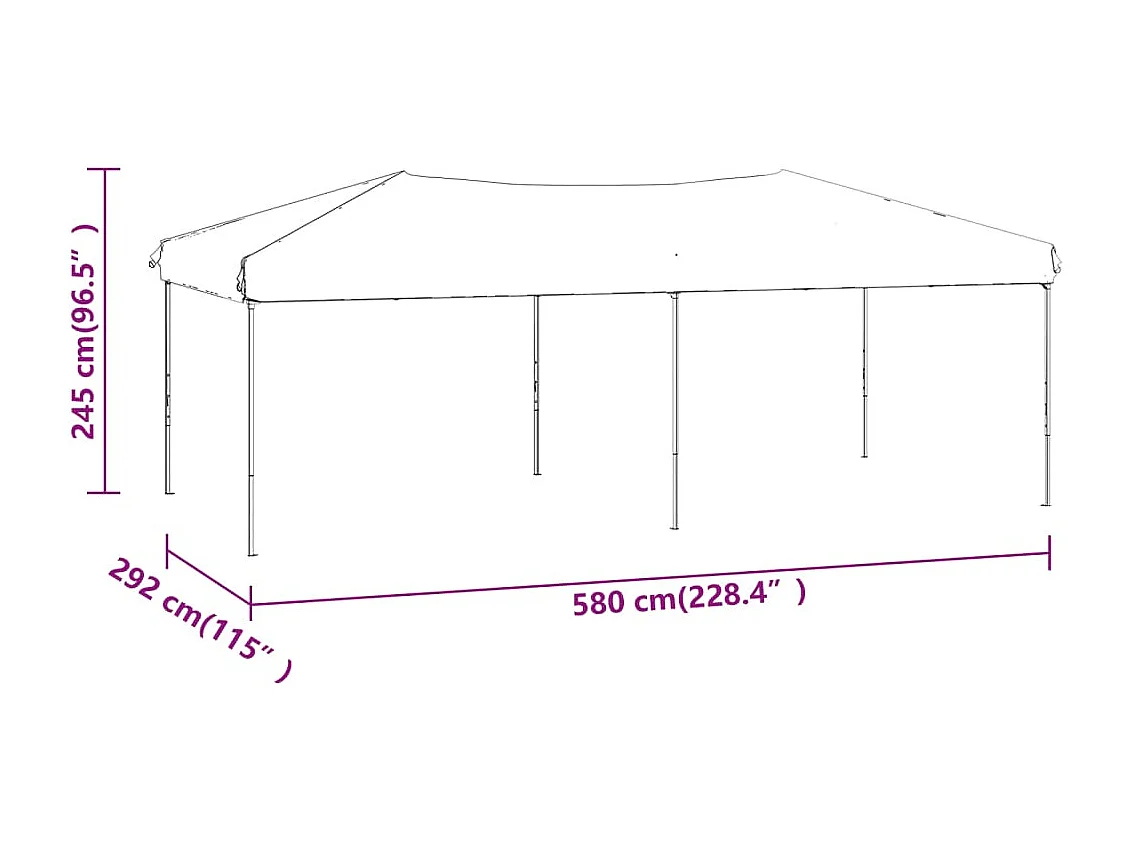 Carpa de recepción plegable antracita 3x6 m