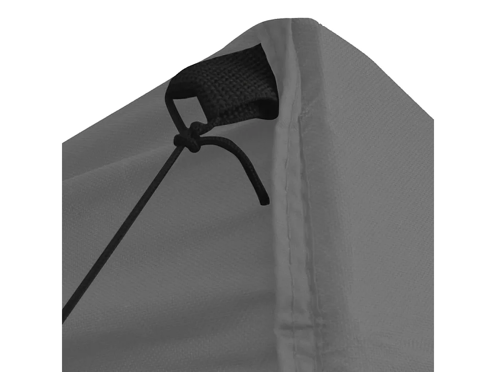 Tenda pieghevole per ricevimenti a 4 pareti 2x2 m Acciaio Antracite