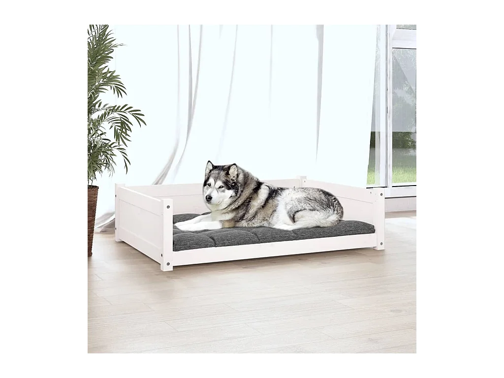 Chatham  Lit pour cen Blanc 105,5x75,5x28 cm Bois de pin solide