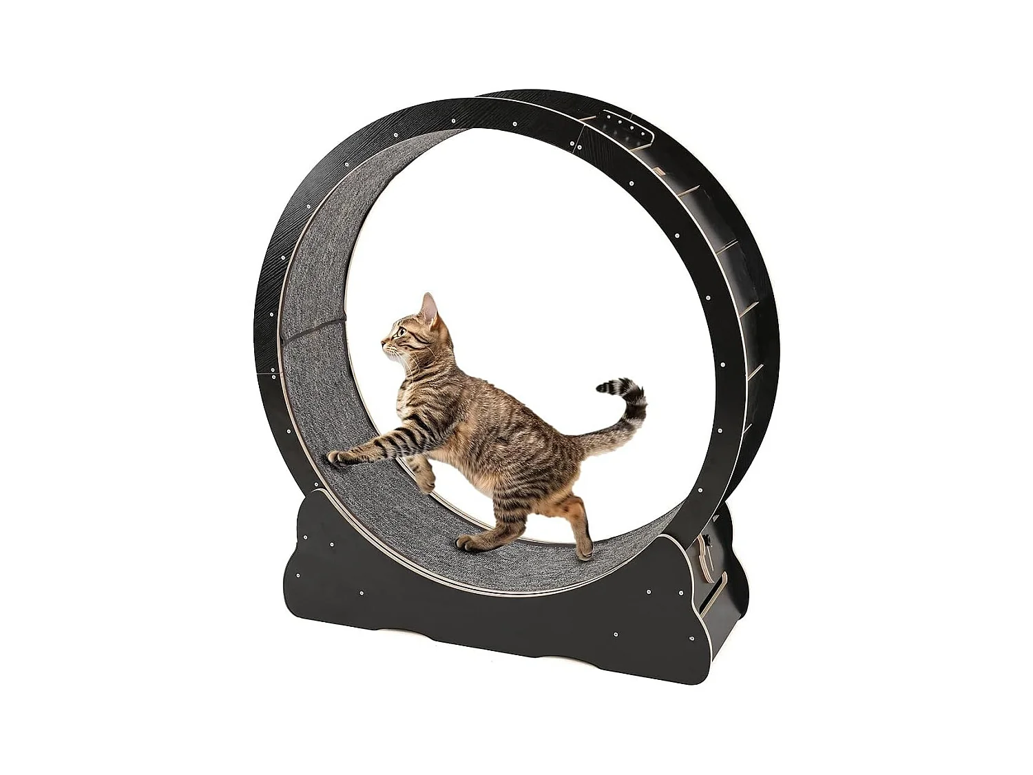 YODOLLA Roue d'Exercice pour Chat 110cm, Roue d'exercice silencieuse pour chats d'intérieur pour santé & divertissement, Noir